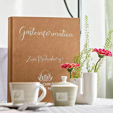 Apartment Haus Zum Rochusberg 1 *