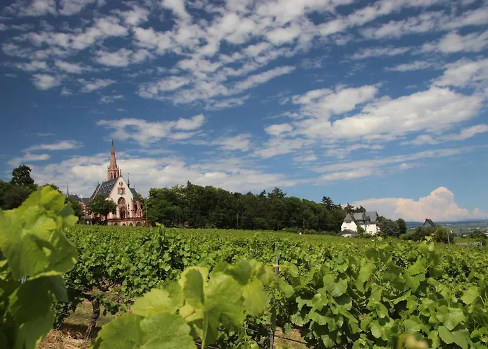 Haus Zum Rochusberg 1 Apartmán *